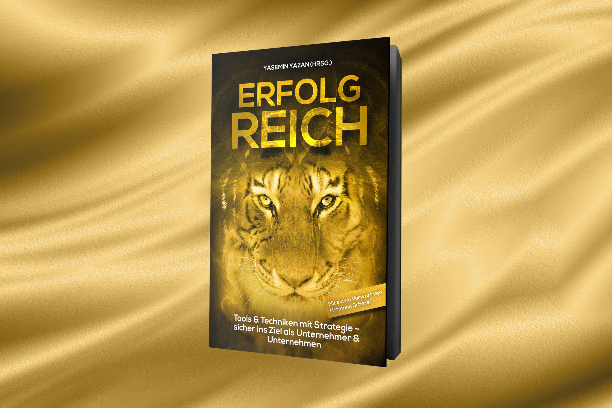 Buchcover Erfolgreich