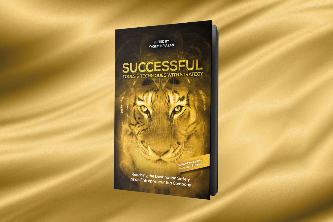 Book cover: Successful
